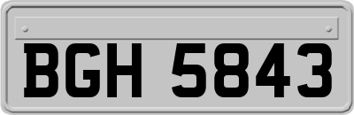 BGH5843