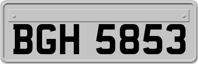 BGH5853