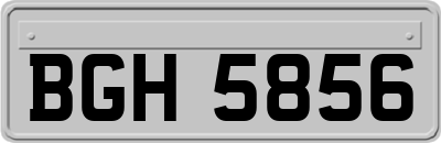 BGH5856
