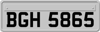 BGH5865