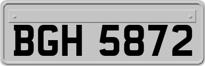 BGH5872