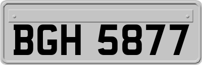BGH5877
