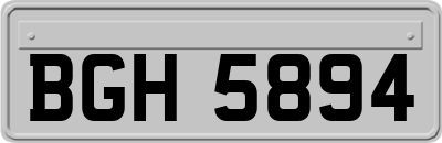 BGH5894