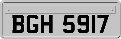 BGH5917