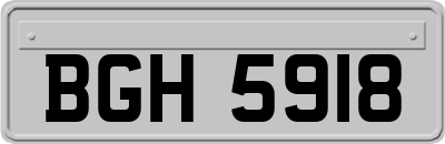 BGH5918