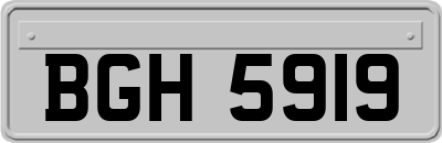 BGH5919