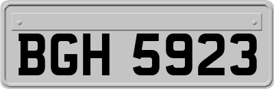 BGH5923