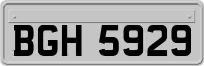 BGH5929