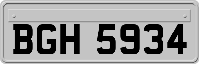 BGH5934