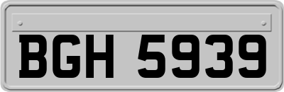BGH5939