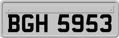 BGH5953