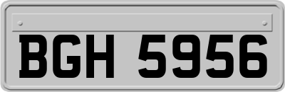 BGH5956