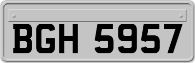 BGH5957