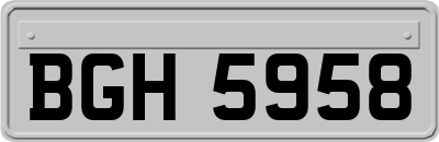 BGH5958