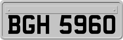BGH5960