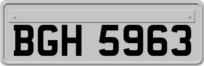 BGH5963