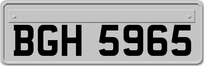 BGH5965