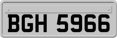BGH5966