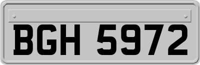 BGH5972
