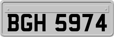 BGH5974