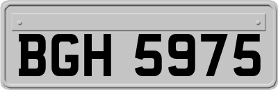 BGH5975
