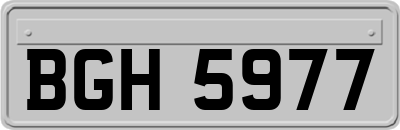 BGH5977