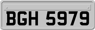 BGH5979