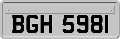 BGH5981