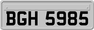 BGH5985