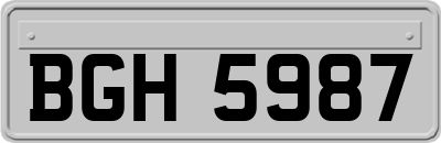 BGH5987