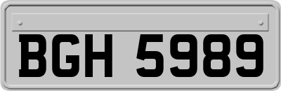 BGH5989