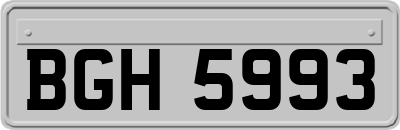 BGH5993
