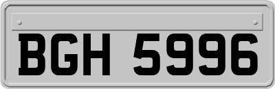 BGH5996