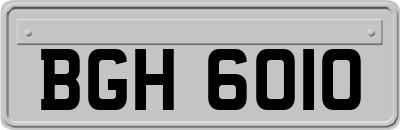 BGH6010