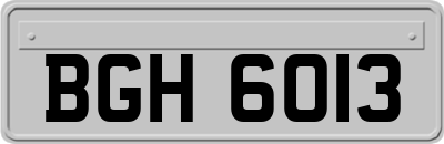 BGH6013