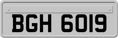 BGH6019