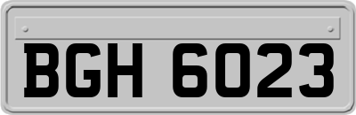 BGH6023