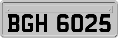 BGH6025