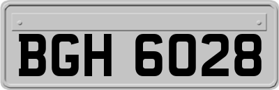 BGH6028