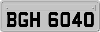 BGH6040