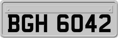 BGH6042