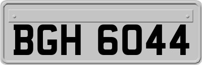 BGH6044