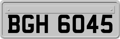 BGH6045