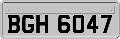 BGH6047