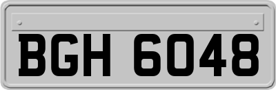 BGH6048