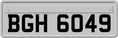 BGH6049