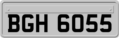 BGH6055