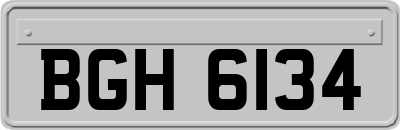 BGH6134