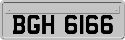 BGH6166
