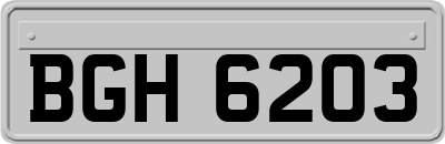 BGH6203
